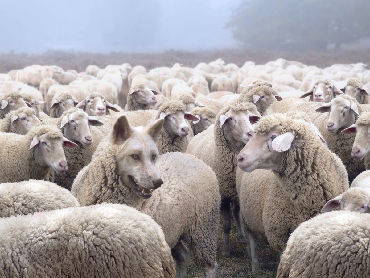 What Does Evil&nbsp;Wear?